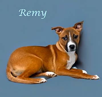 Photo of Remy D25-028