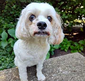 Photo of Marnie
