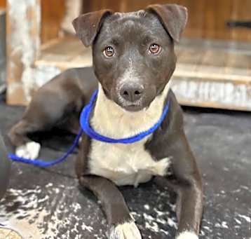 Photo of Spunky