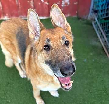 Photo of Tank