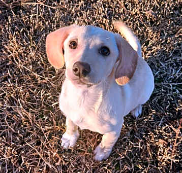 Photo of Sallie