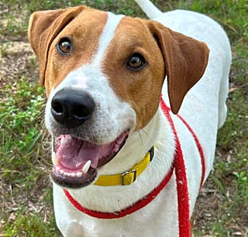 Photo of Gus