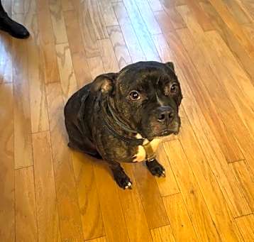 Photo of Jax