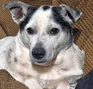 Photo of MOCHI