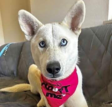 Photo of Sierra