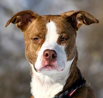 Photo of Rudy