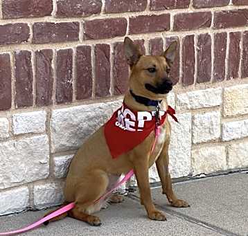 Photo of Molly