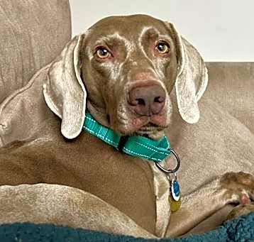 Photo of Remy Lynn