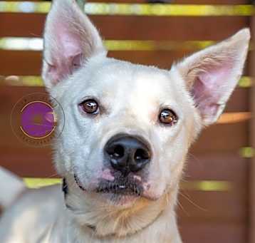 Photo of Oakley