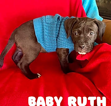 Photo of Baby Ruth