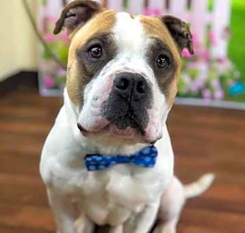 Photo of Grady