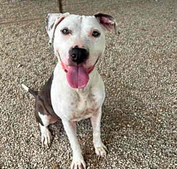 Photo of Xena