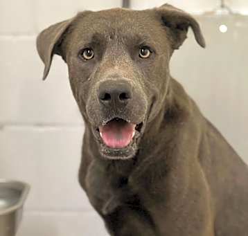 Photo of Zeus