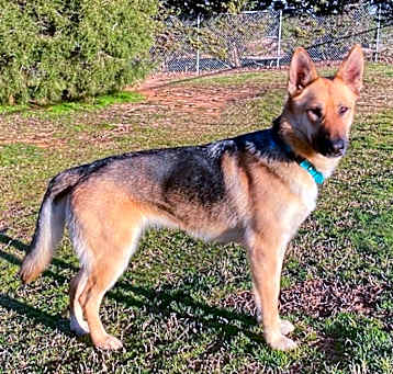 Photo of Priss