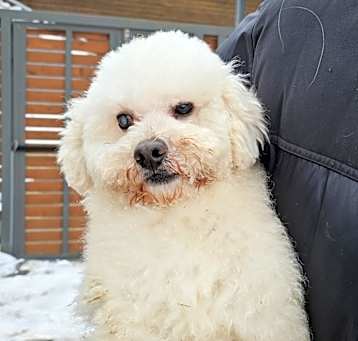 Photo of Snow