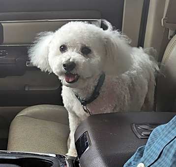 Photo of Oliver