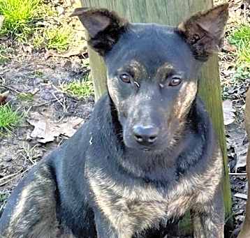 Photo of Gretel