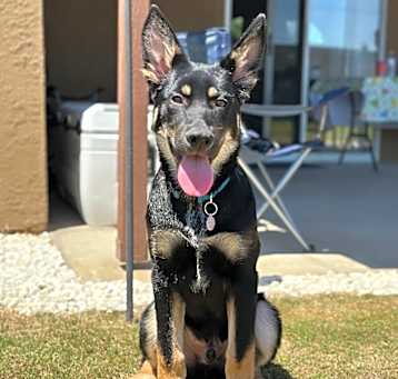 Photo of Charlie