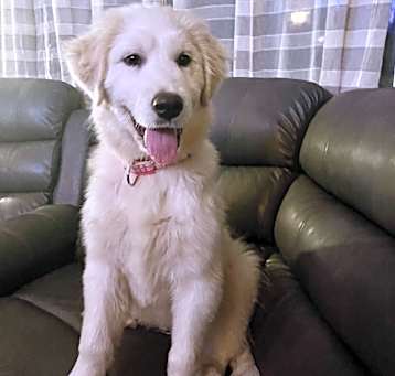 Photo of Jovi