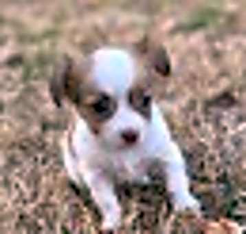 Photo of Katie