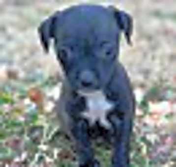 Photo of Kiley
