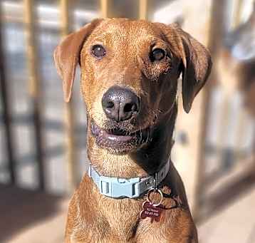 Photo of Otis