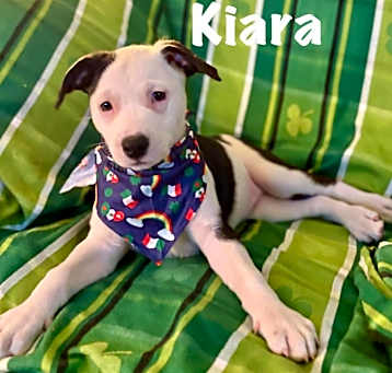 Photo of Kiara