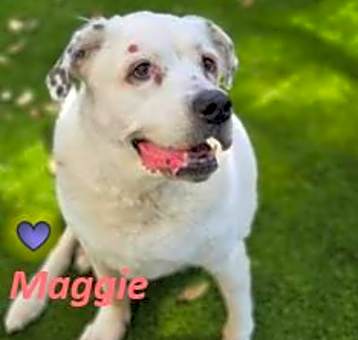 Photo of Maggie