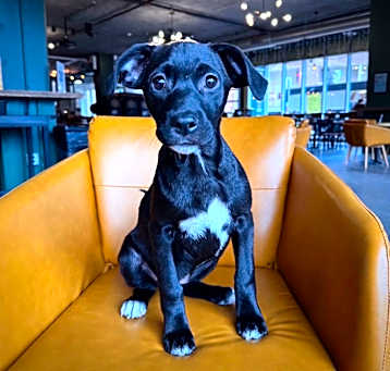 Photo of Aspen