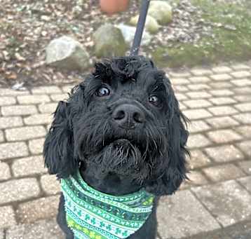 Photo of Walter