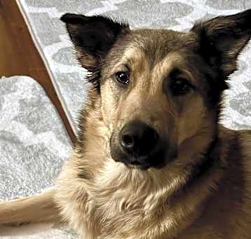 Photo of Yami