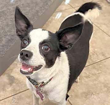Photo of Evie