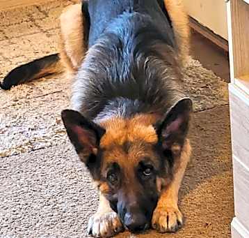 Photo of Kronos