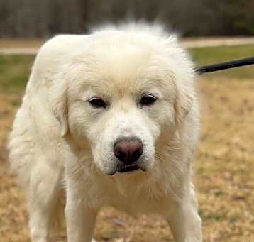 Photo of Sam