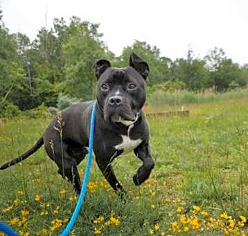 Photo of Zuko