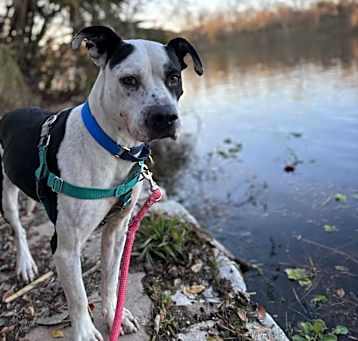 Photo of Dominic