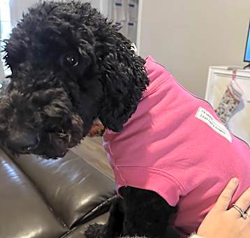 Photo of Penny