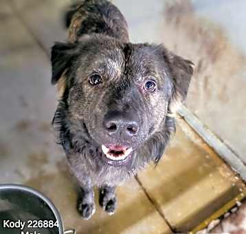 Photo of Kody