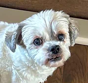 Photo of Stella Jane