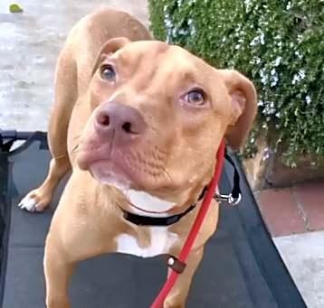 Photo of Honey
