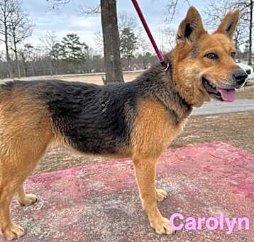 Photo of Carolyn (4506 W 17th)