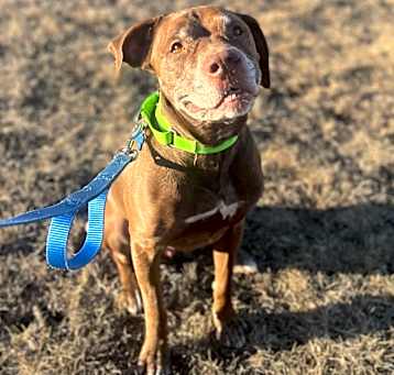 Photo of Butch