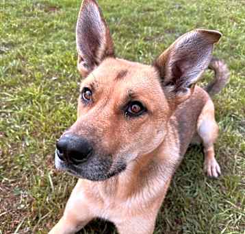 Photo of Athena
