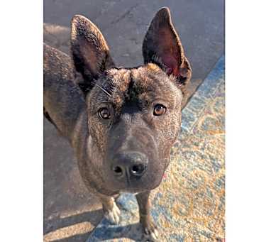 Photo of SPIKE