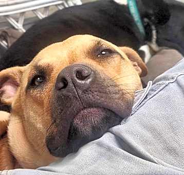 Photo of Greta