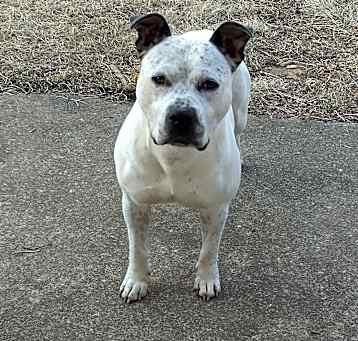 Photo of Max