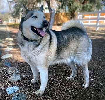 Photo of Ike
