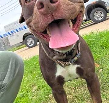 Photo of Rosco