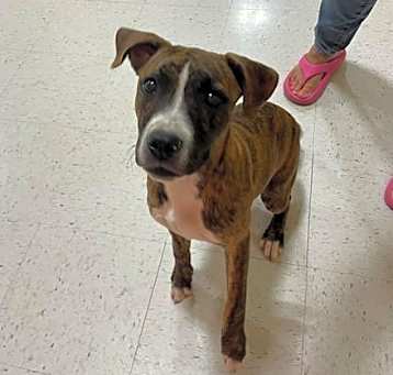 Photo of Daisy Mae