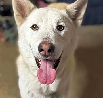 Photo of Griffin